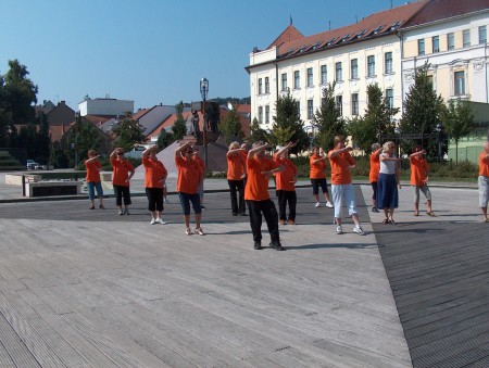 tai chi - Harmnia napja 2011 Miskolc