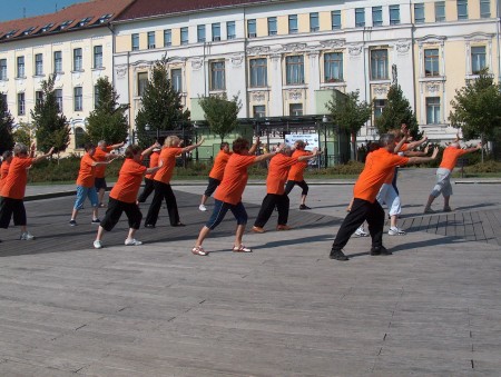 tai chi - Harmnia napja 2011 Miskolc