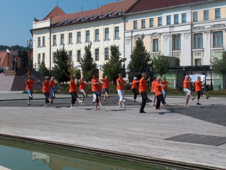 tai chi - Harmnia napja 2011 Miskolc