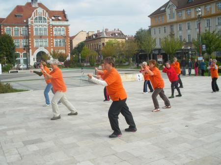 tai chi - Harmnia napja 2013 Miskolc