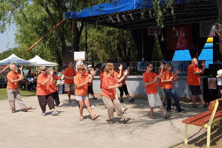 tai chi - Hejsokadalom 2012 Hejbba