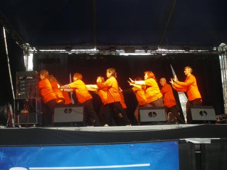 tai chi - Miskolci Kocsonya Farsang 2014 Miskolc