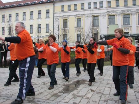 tai chi - Kocsonyafesztivl 2011 Miskolc