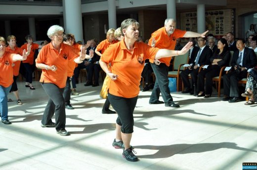 tai chi - Konfuciusz Intzet megnyitja 2013 Miskolc-Egyetemvros, Miskolci Egyetem by boon.hu