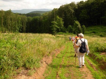 tai chi - lzbrci tbor 2012