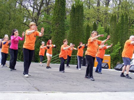 tai chi - Majlis 2015 Miskolc