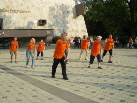 tai chi - Mobilits-ht 2011, Miskolc