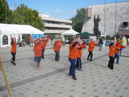 tai chi - Mobilits-ht 2013, Miskolc