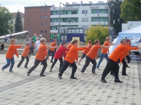 tai chi - Mobilits-ht 2013, Miskolc
