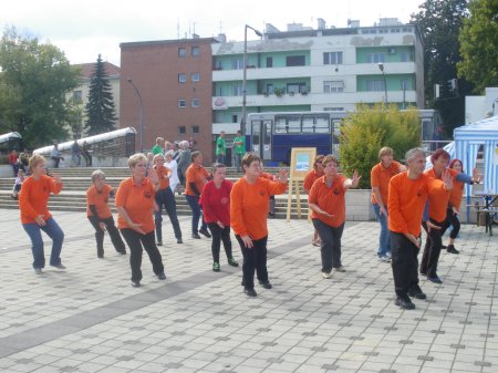 tai chi - Mobilits-ht 2013, Miskolc