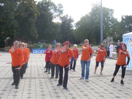 tai chi - Mobilits-ht 2013, Miskolc