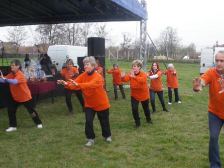 tai chi - Szirmai fzs 2013 Miskolc-Szirma