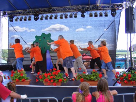 tai chi - II. Harsnyi Szrkemarha Fesztivl 2014 Harsny